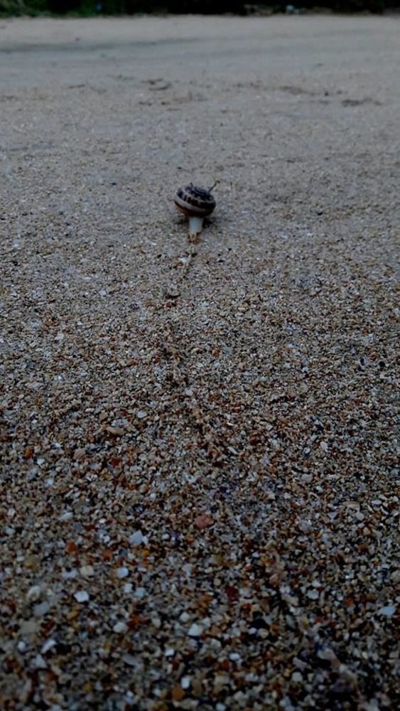 Photograph by Инна