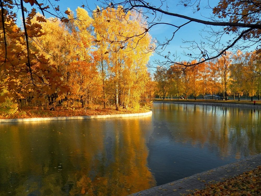 Осень в парке.