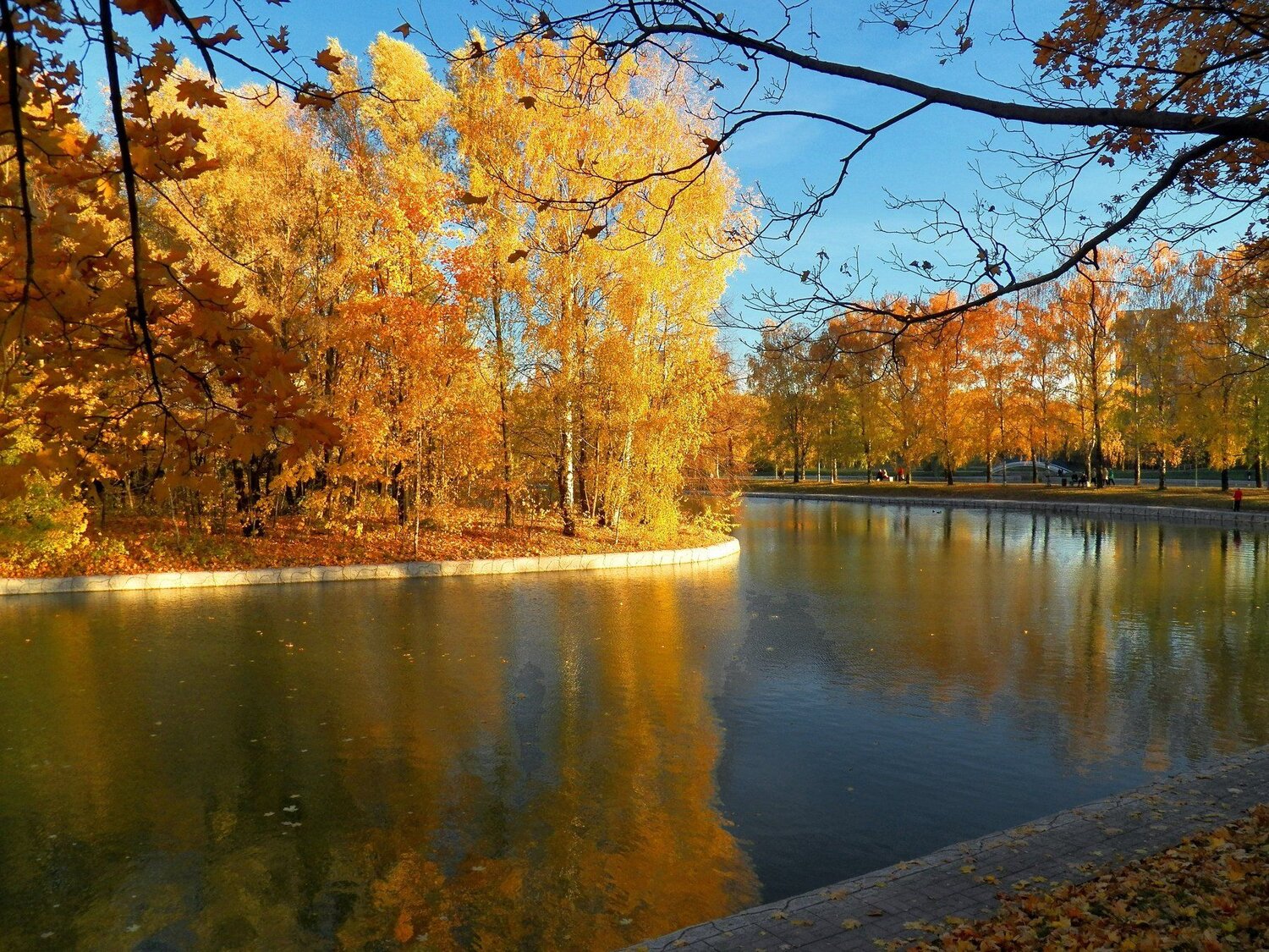 Осень в парке.