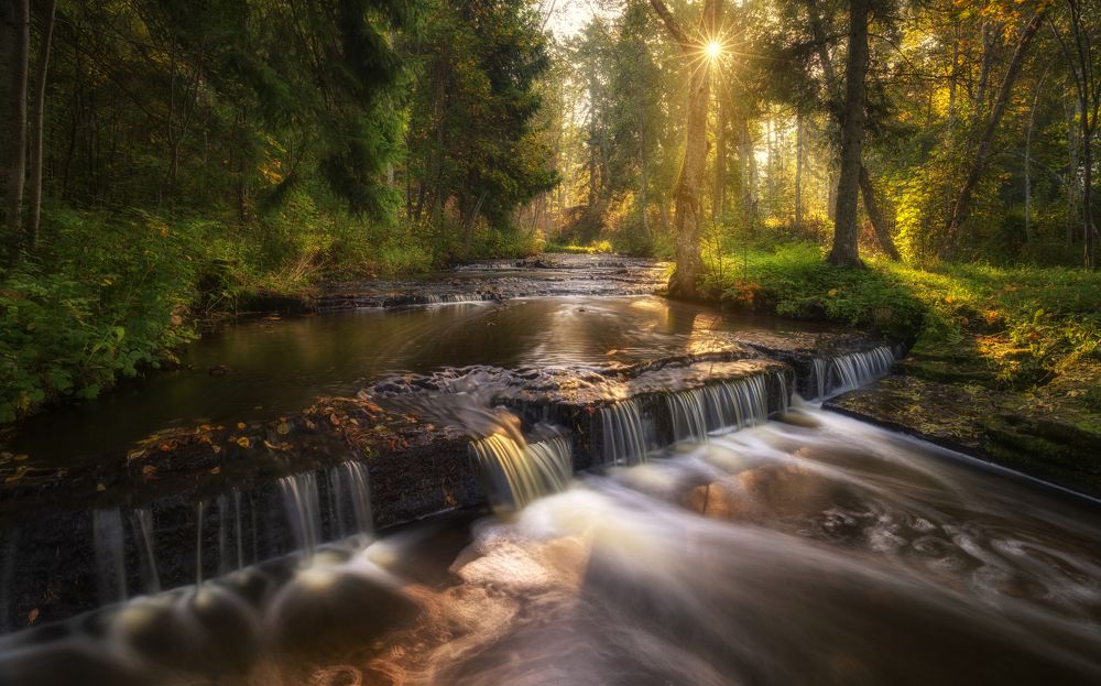 Лесной каскад