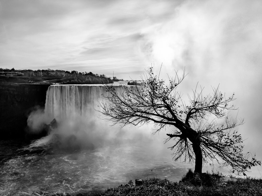 A tree overlooks the waterfalls as winter approaches