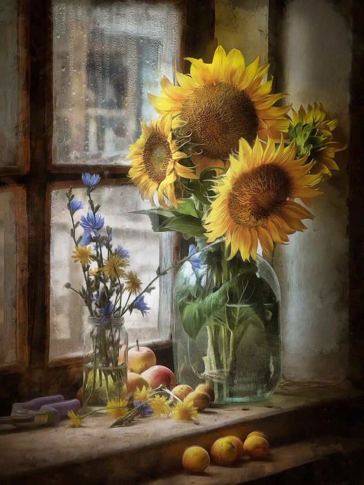 Подсолнухи.