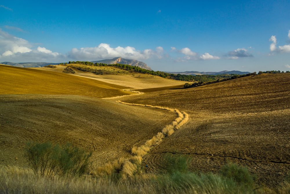 Дорогами Андалусии