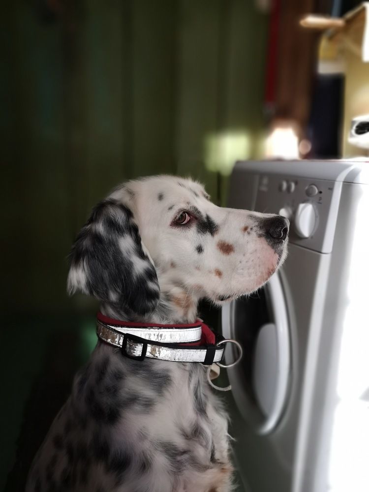 Фотография автора Marina Samarina