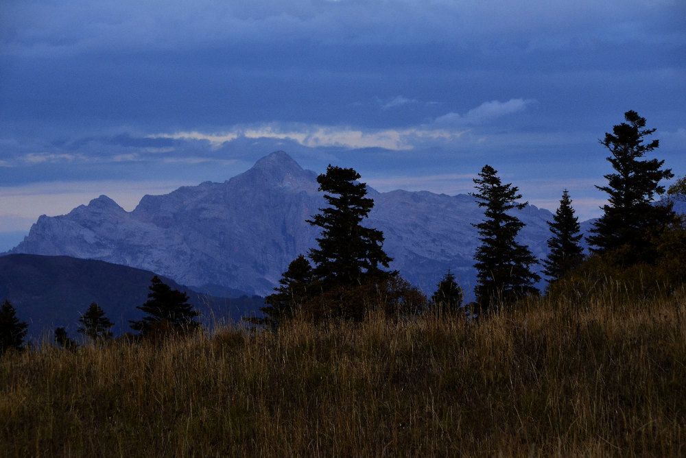 Пробуждение