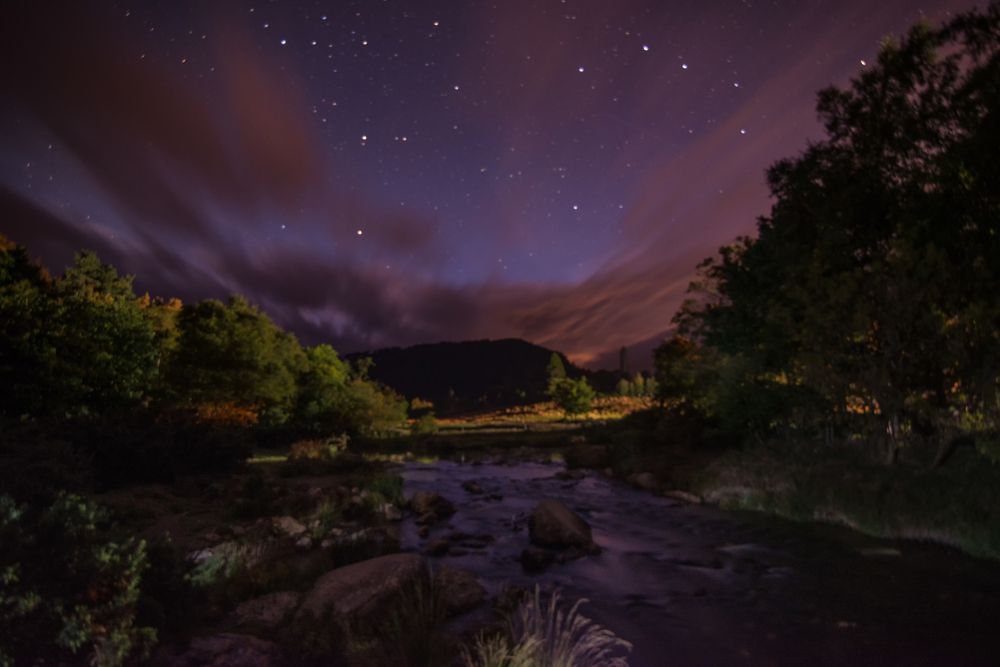 The silence of night