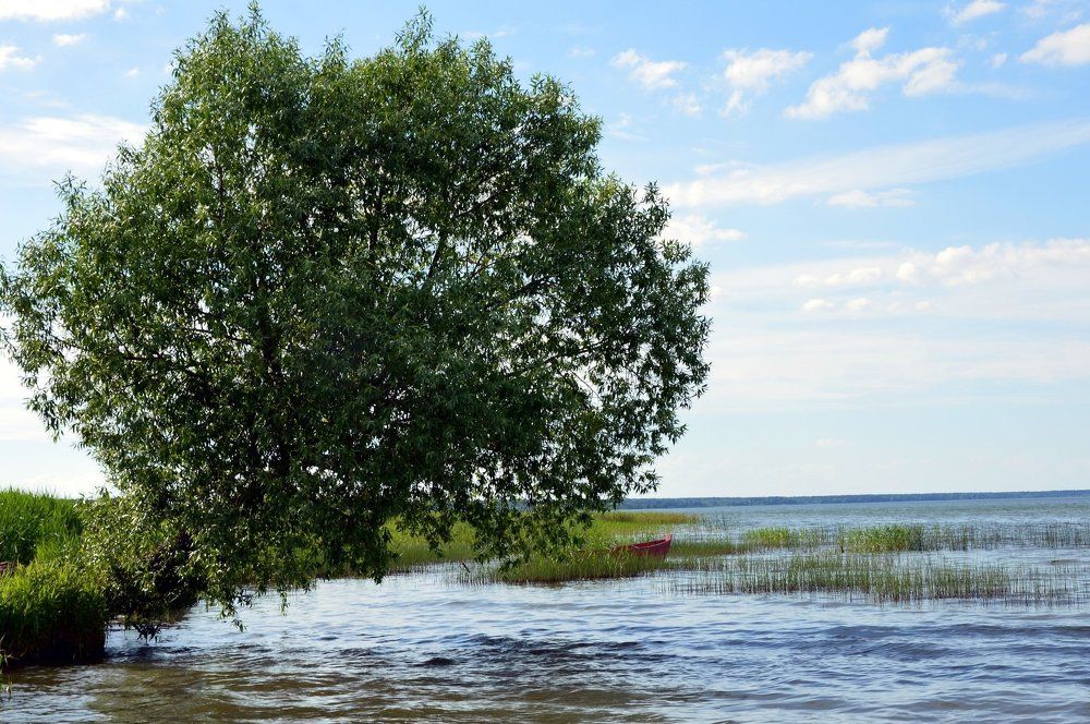 Утро у озера