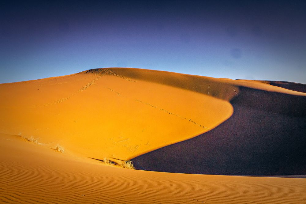 Photograph by Марина Ганина