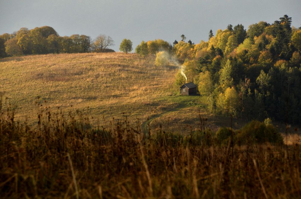 У лесной опушки домик...