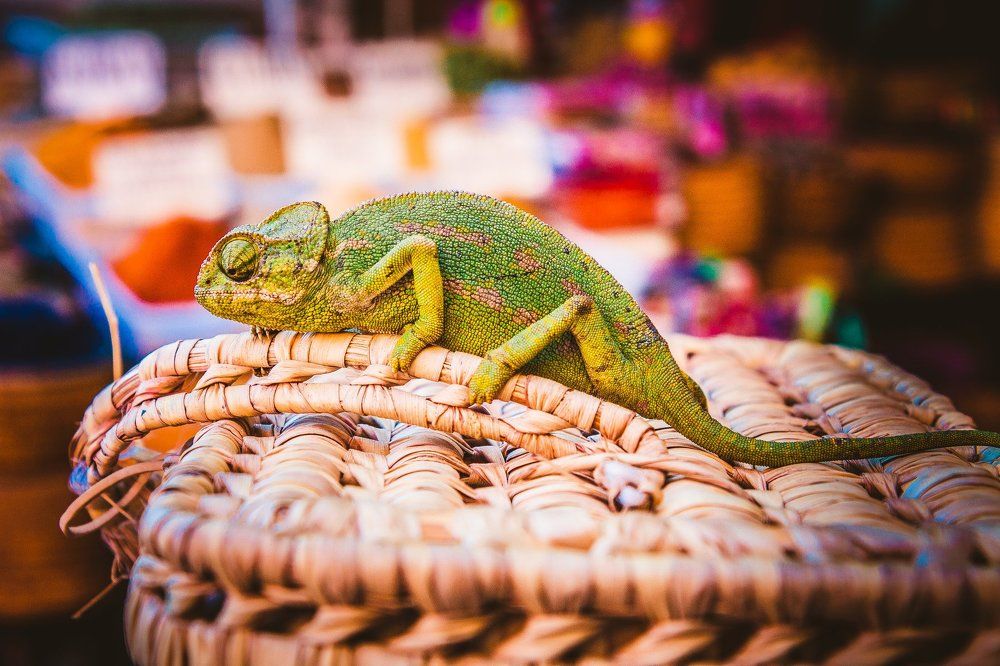 Photograph by Марина Ганина