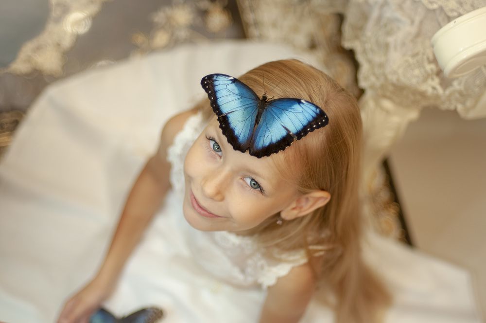 Две красотки