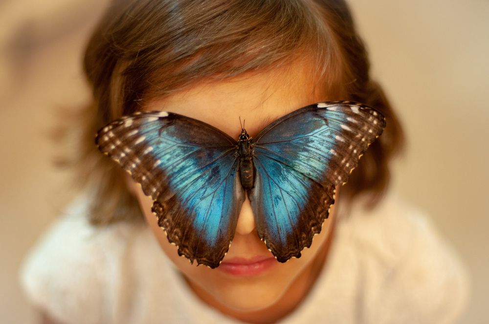 Видя красоту