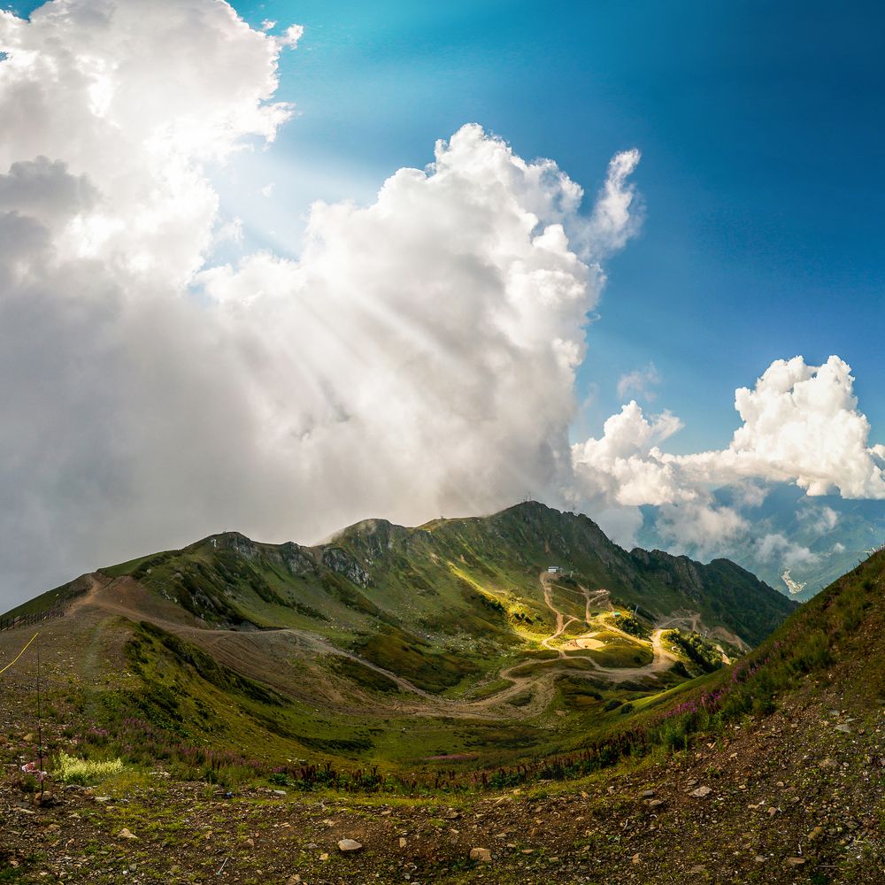 В лучах солнца