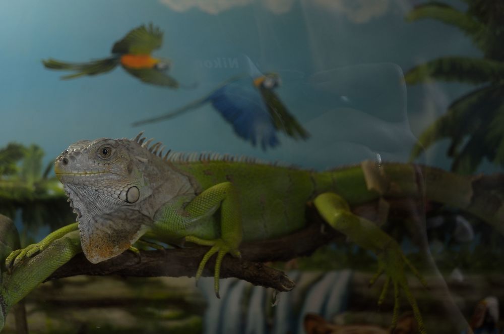 Photograph by Елена Васильева