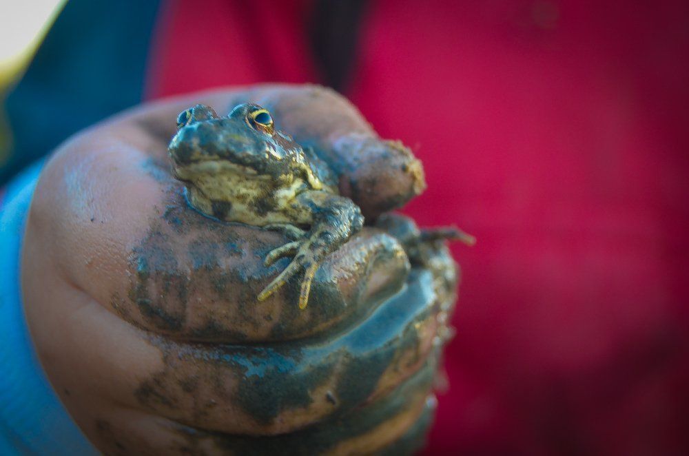 Photograph by Елена Васильева