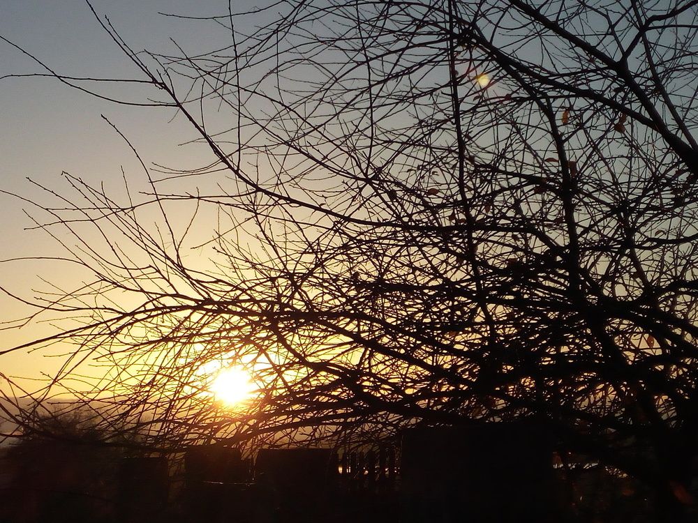 Запутанная, как наша жизнь