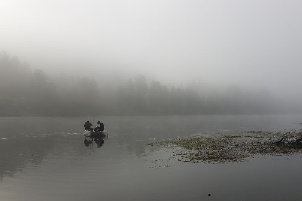 На зорьку в туман