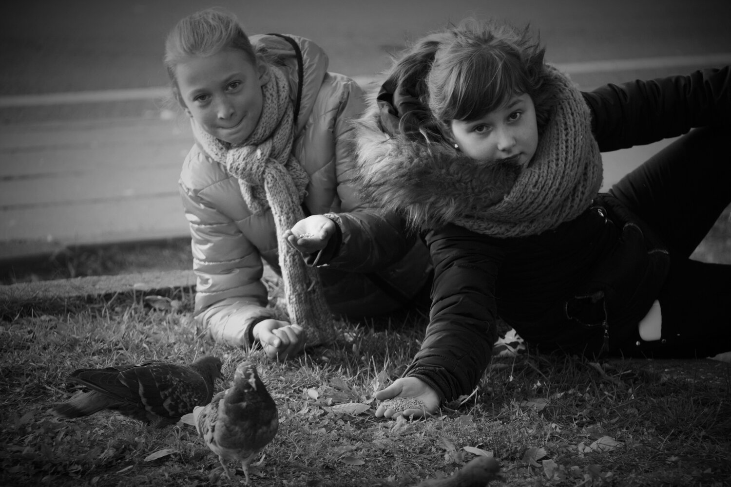 Kids and pigeons