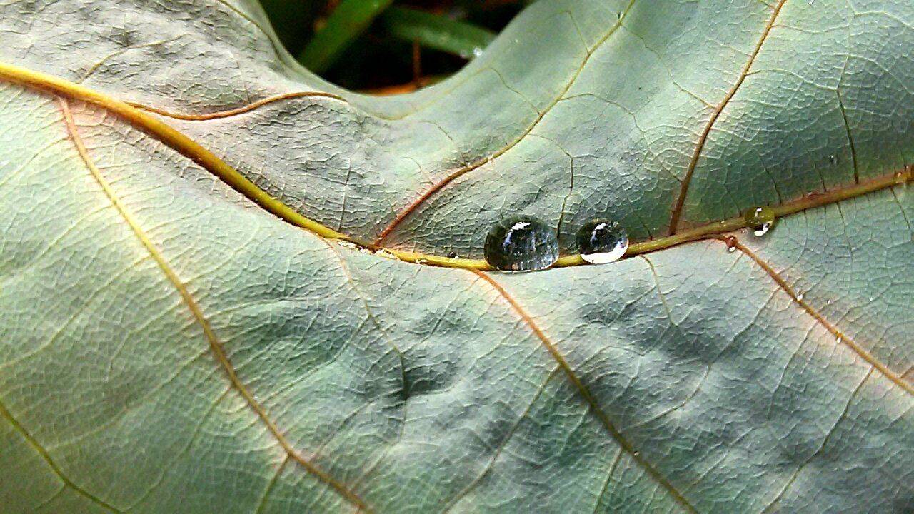water diamonds...