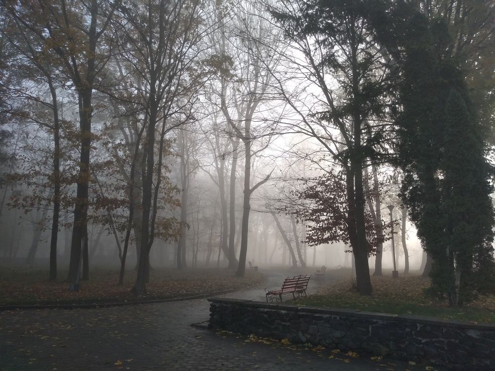 Туманное утро. Тернополь. Украина