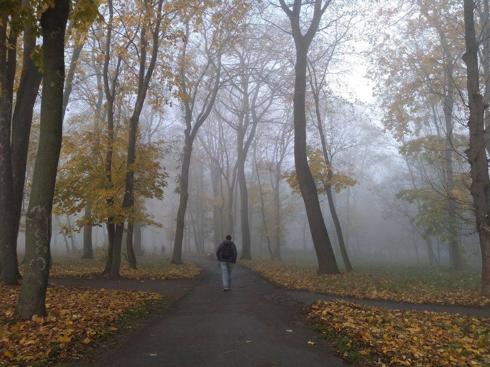 Туманное утро. Тернополь. Украина