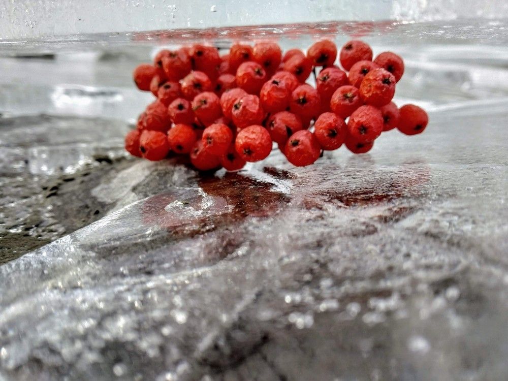 последние цвета