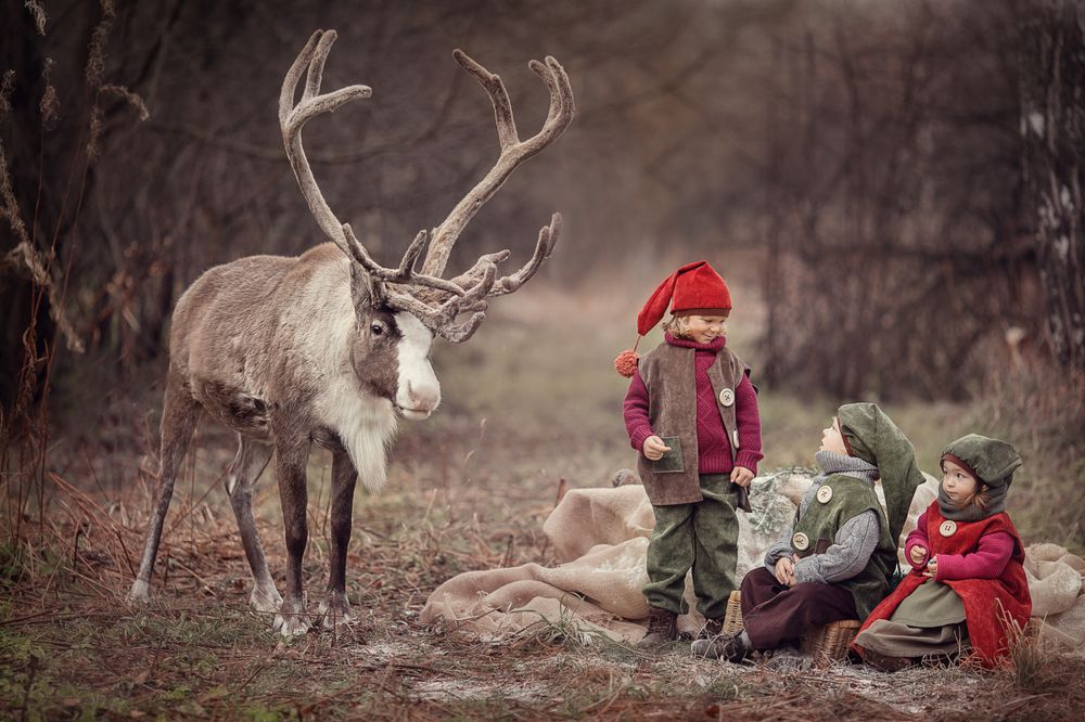 Сказочные гномы