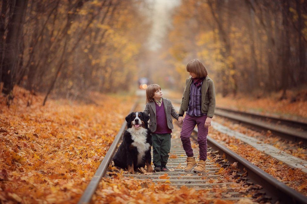 Осенняя прогулка