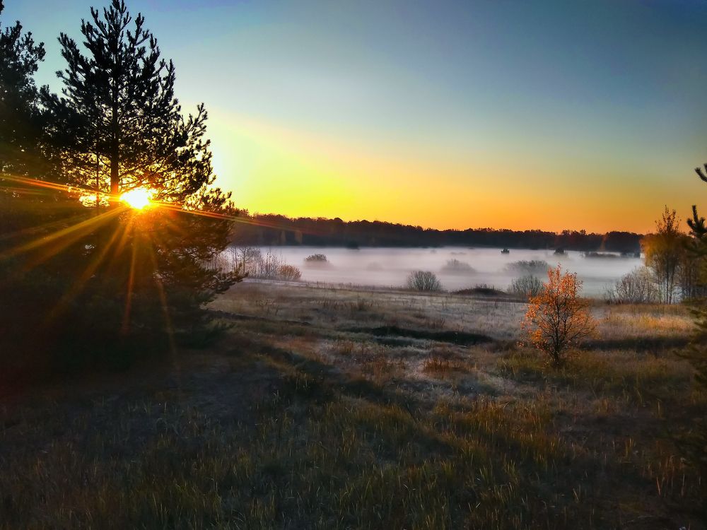 Туман на рассвете