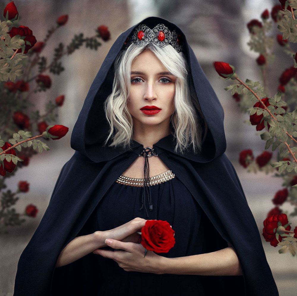 Queen of roses