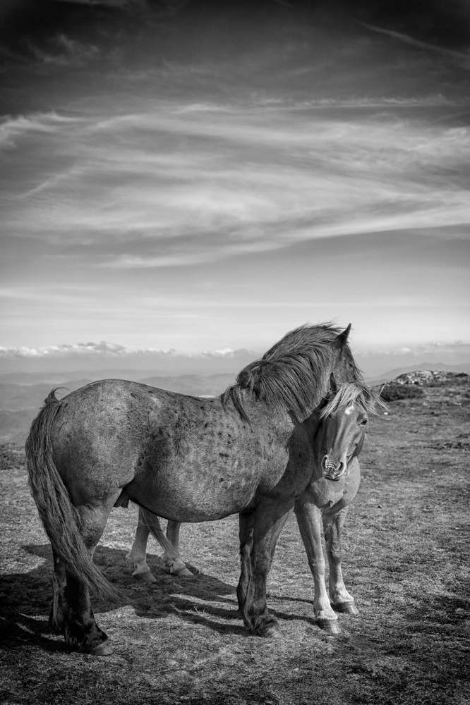 "Отец и сын"