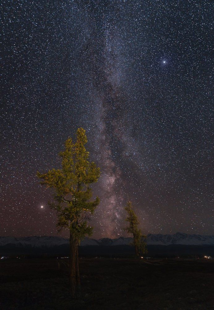 Дуэт "Курайские звезды".
