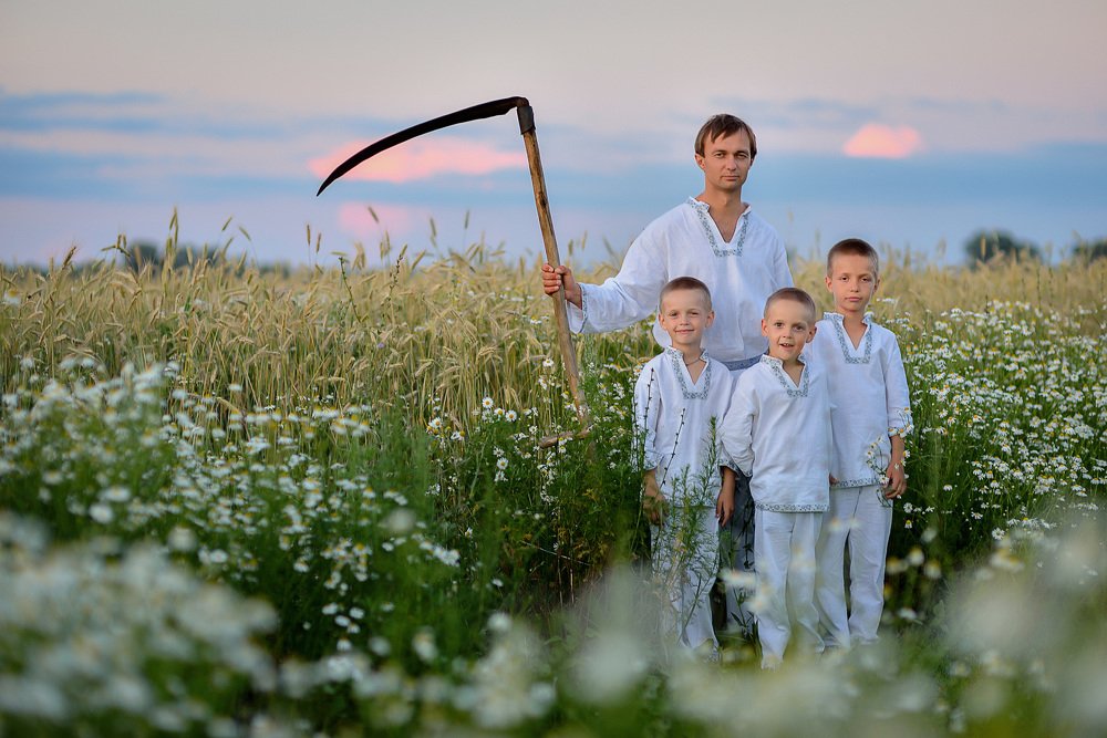 Вечер в поле