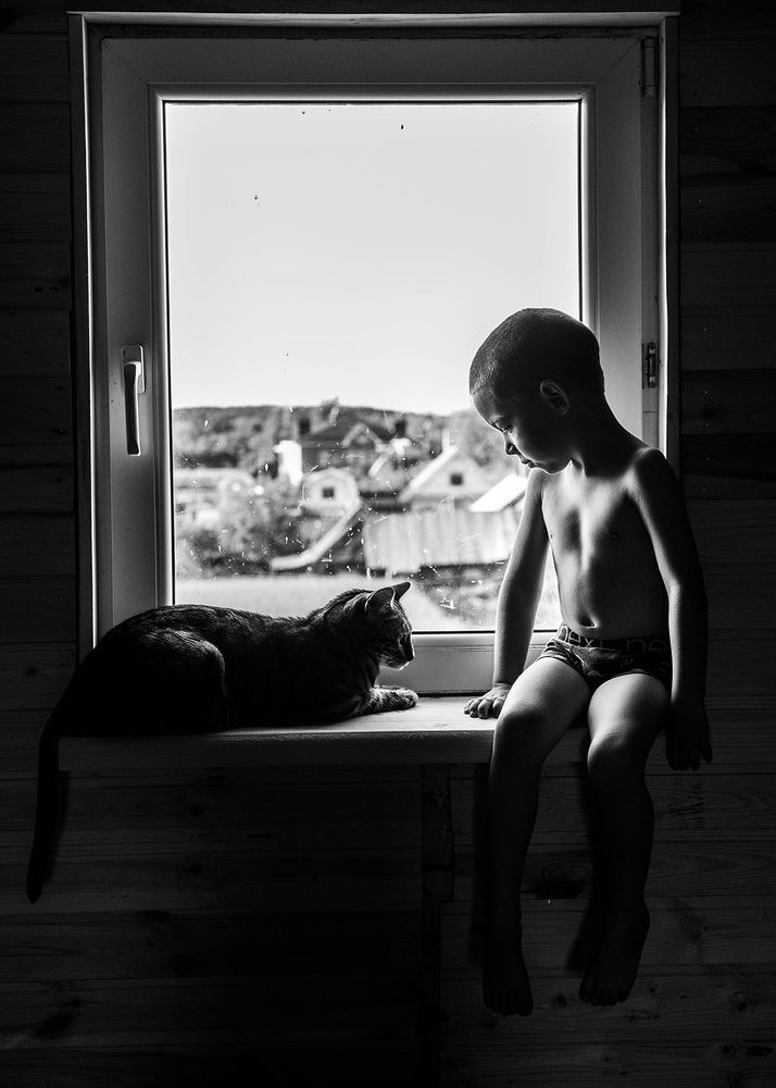 Егор и кот