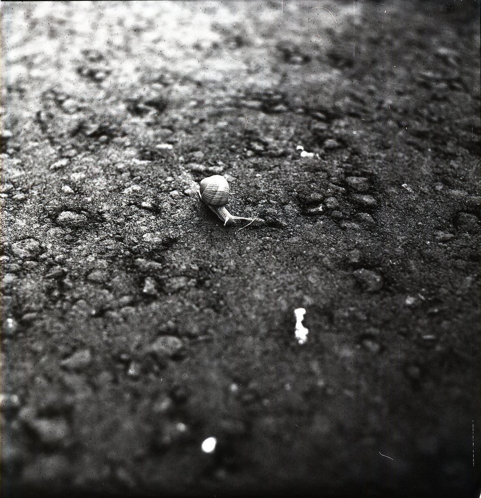 Стремление.