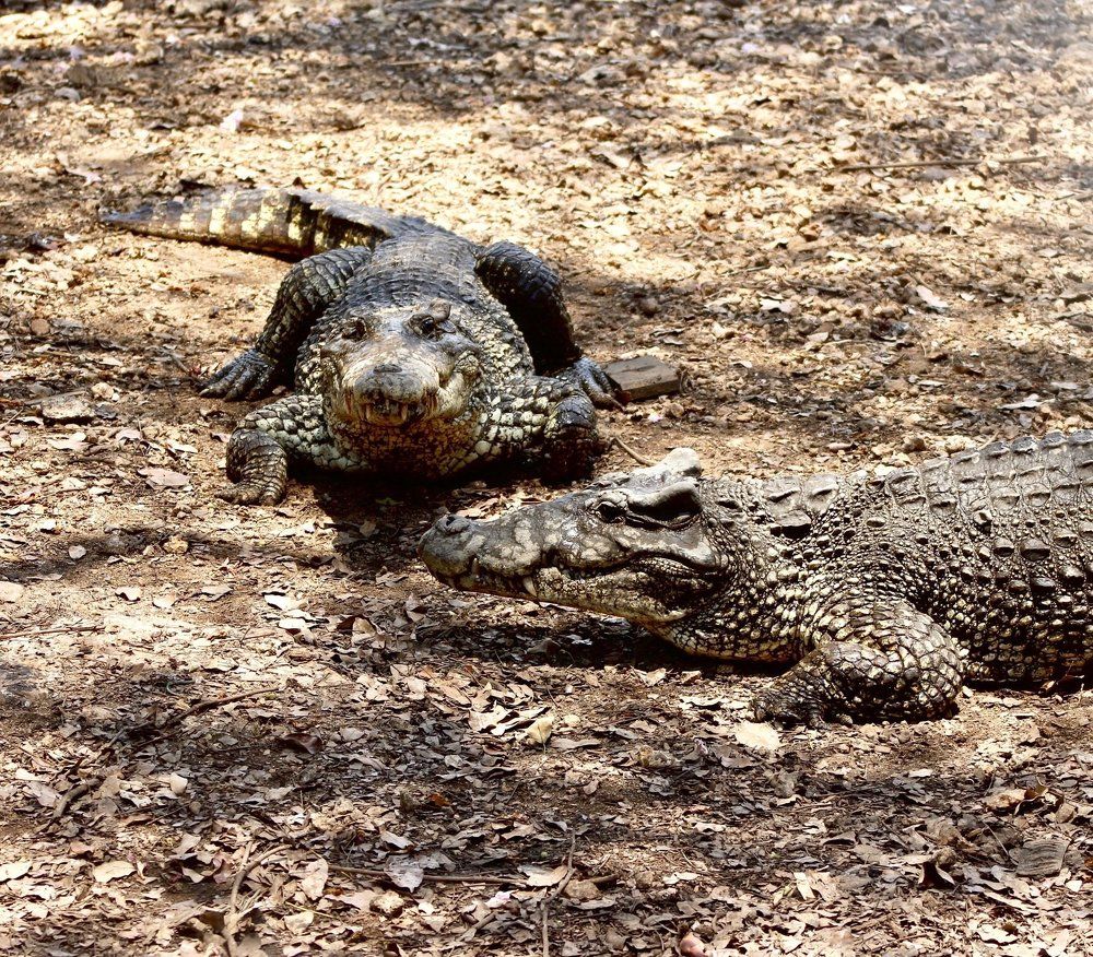 Photograph by Ahmet Aka