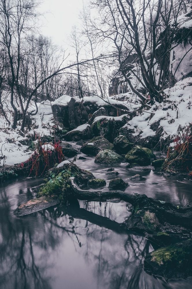 Движение жизни