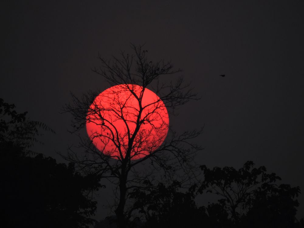 'and the night will end and Sun will rise again'