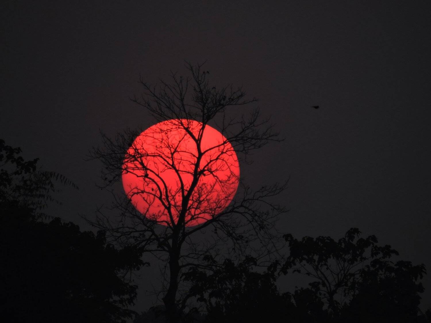'and the night will end and Sun will rise again'
