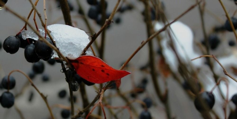 Зима тоже может быть яркой
