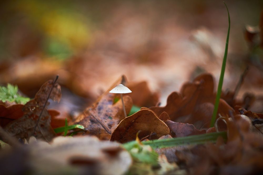 Photograph by Евгений Лобойко