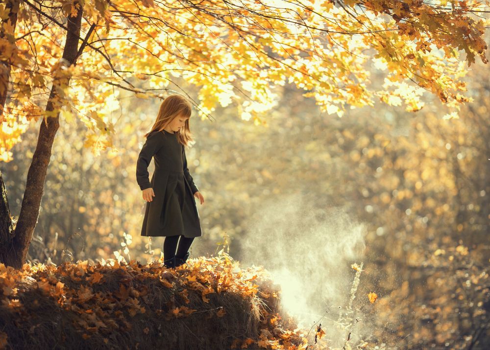 Золото осени