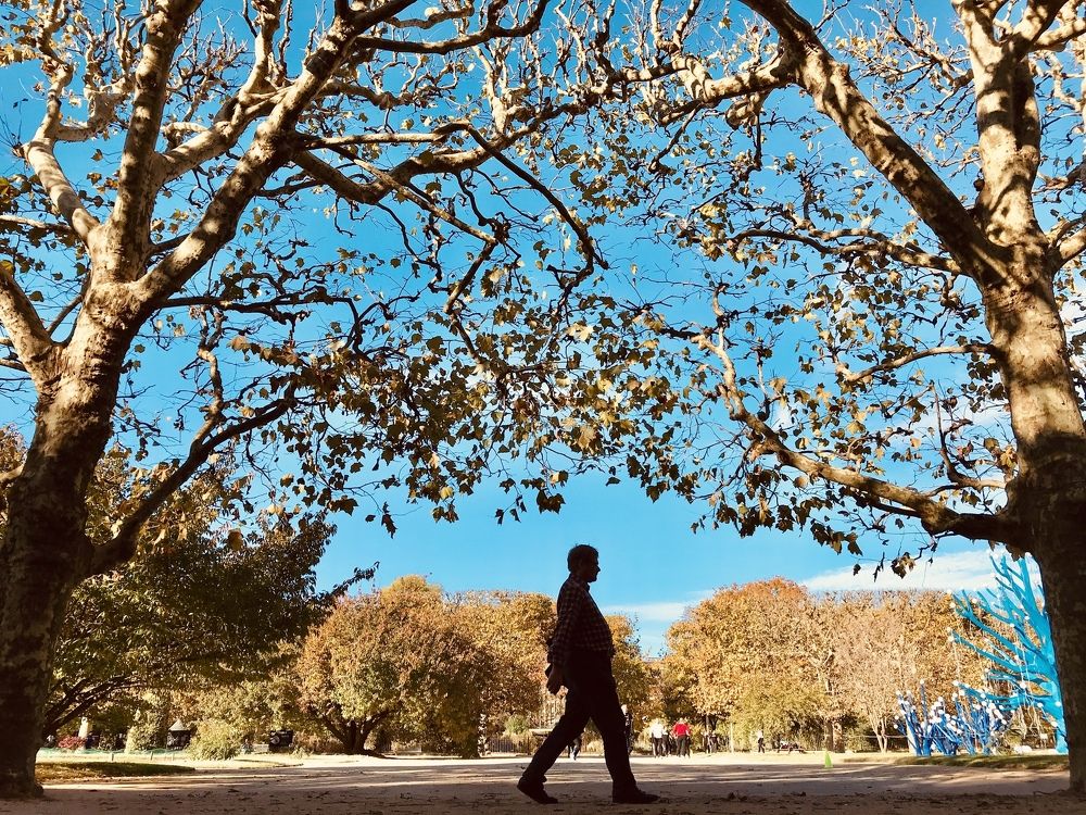 Photograph by Ibrahim Hendy