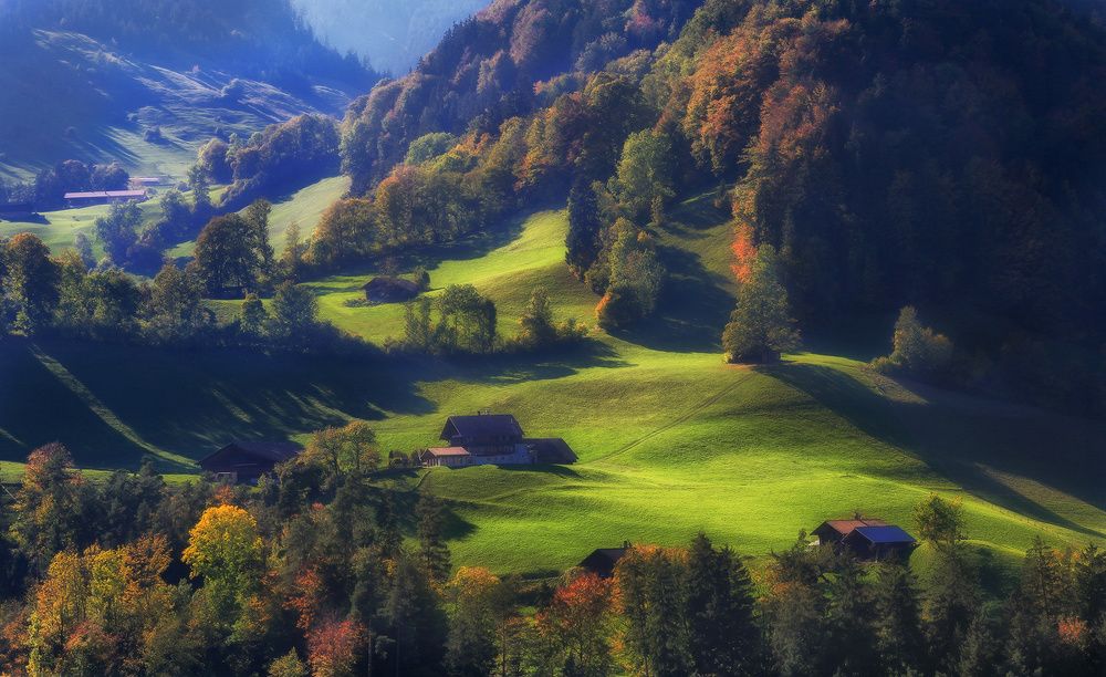 На бархатных холмах