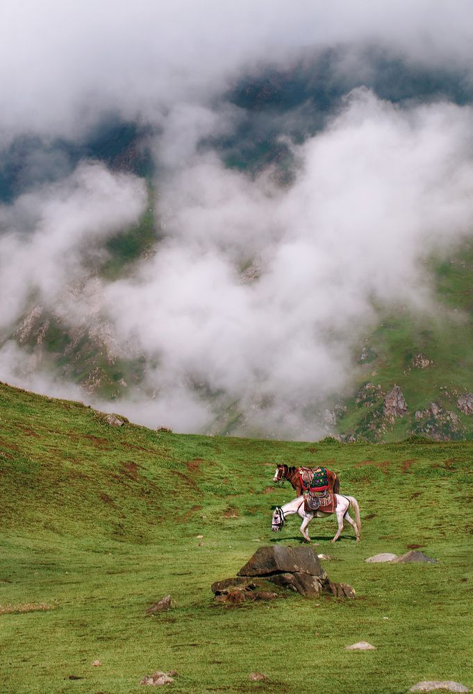 "Into The Wilderness."