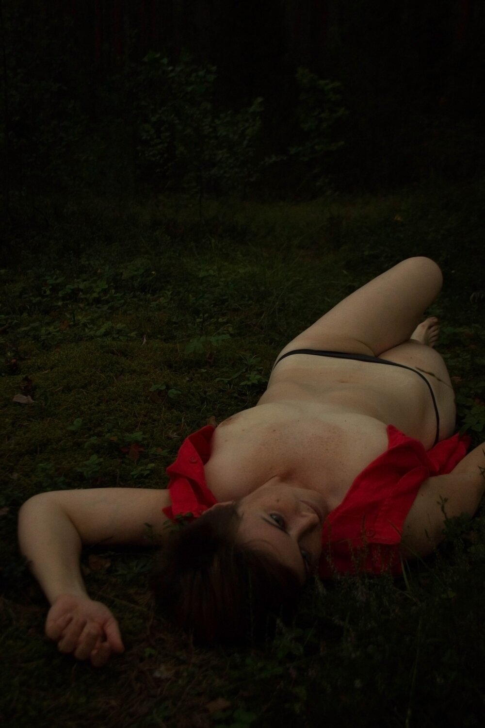 Red in the forest