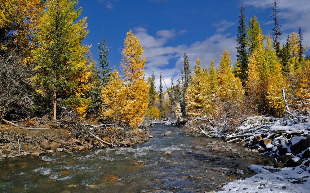 Photograph by Ольга Челдыкова