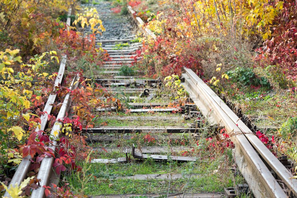 старые рельсы 2