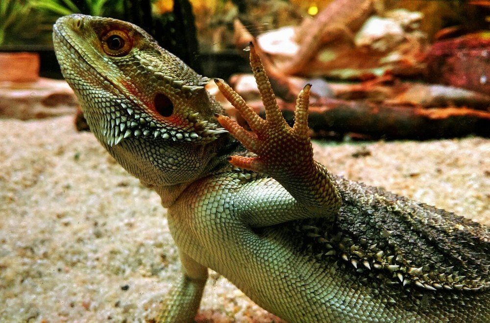 Photograph by Maria Doroshenko