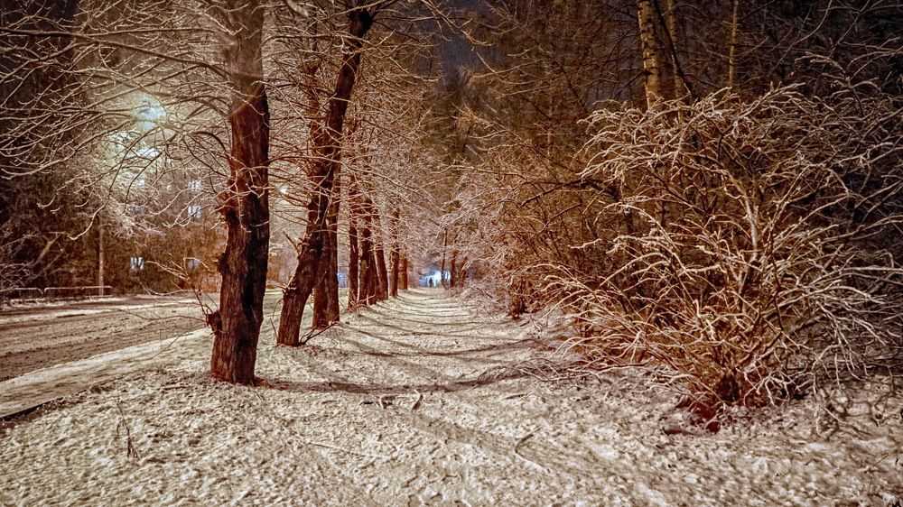 Первый снегопад